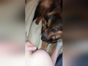 Bestial and intense video on ArtofZoo