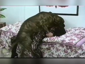 Explore the limits of bestiality with Zoobook