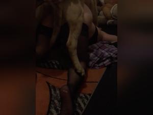 Extreme dog sex video