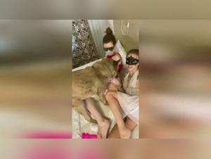 A Hot Dog Girl Gets Sexied Up with Her Dog: A Sexy Dog Girl