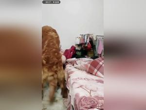 An Experience of Extreme Bestiality