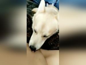 Extreme Bestiality Scene