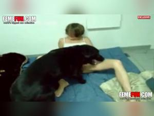 Bestiality sex videos: check out the hottest scenes on ArtofZoo