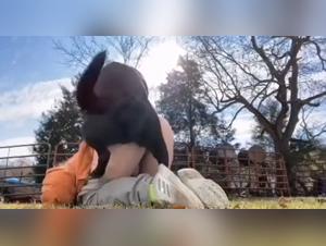 videos de beastiality compilation