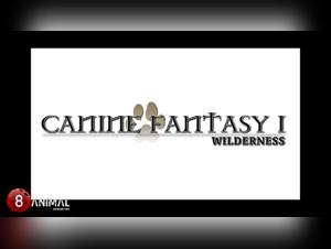 Zoophilia Video: A Forbidden Love Story