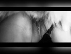 Il cane divora: orgia ardente con una donna elettrizzante
