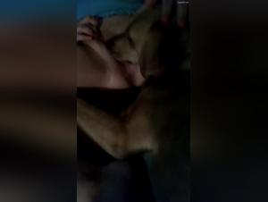 Dog sex video: discover the pleasures of bestiality