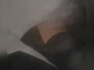 The Hot Chick Gets Seduced by the Horse