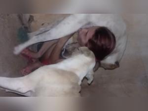 Zoophilia video with a Brazilian woman