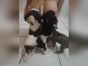 Dog Sex, Explicit Content