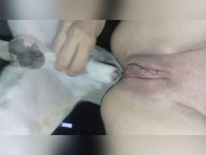 Intimate and Passionate Scenes with Dogs