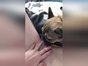 Dog sex videos: A Scottish teen and her dog