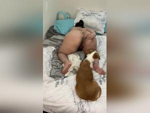 Sesso intensivo con cani, puttane prostitute e puttani sexy