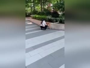 Bestial encounters in the great outdoors: zoophilia videos for thrill-seekers