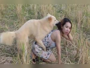 Bestiality sex video with Asian woman and dog