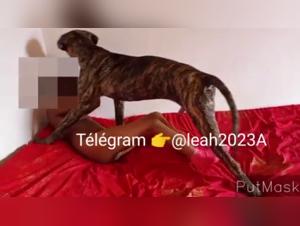 Submissive women and dogs in hard scenes