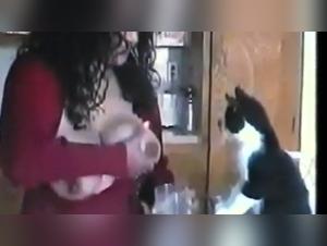 The Art of Zoo: A Shocking Bestiality Experience