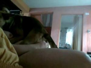 Discover the Ecstasy of Zoophilia