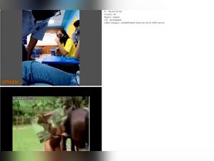 Bestiality Video: Indian Students and Animals