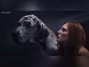 Scopata con cani, erotismo degradato e desiderio animale