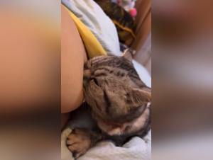 zoofilia tube experiences