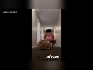 Sfruttamento esplicito degli animali: divora questa scena hardcore
