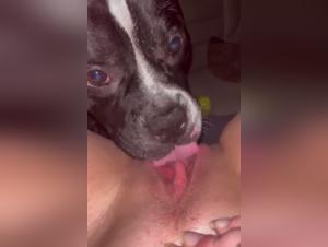 Sex video with a dog: A submissive woman and a dog in a hard scene