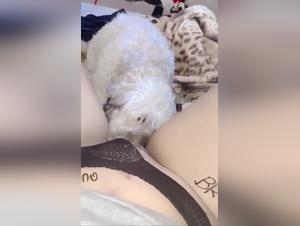 Eine liebevolle Beziehung zwischen einem Mann und seinem Hund