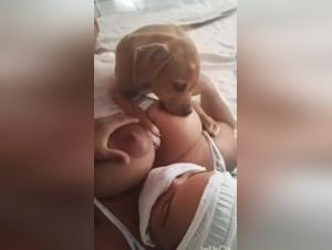 A female slut fucks her dog for pleasure