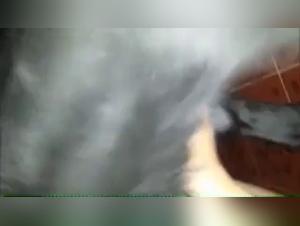 Bestiality Sex Video with a Dog