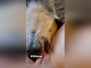 Extreme Zoo Flix: The Cat's Saliva is the Best