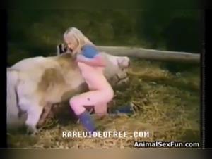A sex video with a pony and a pig