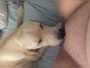 Scene hardcore di cane zooxnxx, sottomissione e piacere vietato