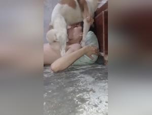 Dog sex video: a girl and her dog in a hardcore scene