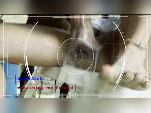 tube zoo : boundaries broken