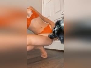 Bestiality video: discover the world of dog sex