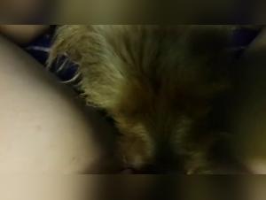 Parte 5: L'indimenticabile scopata di una troia e del suo cane
