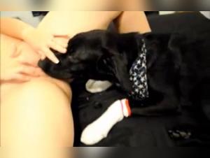 Sporco senza limiti: ossessione canina