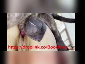 intimate moments canine