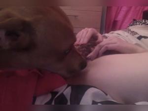 An Extreme and Transgressive Experience