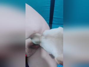 Immerse yourself in the world of zoophilia and animal sex