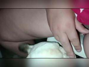 dog milking wife, shocking revelations