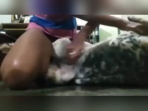 Bestiality sex video with a young Brazilian