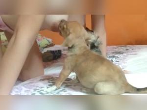 Bestiality sex video: canine lactating