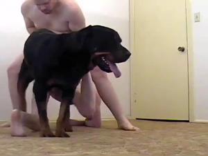 Unersattlicher Rottweiler: Ein Nervenkitzel aus roher Kraft und weiblichem Verlangen