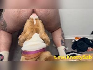 Canine Delights and Orientation