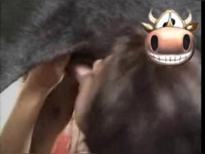 Vidéo de zoophilie : une femme et son chien