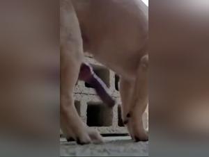 Unveiling Hidden Desires and Taboos