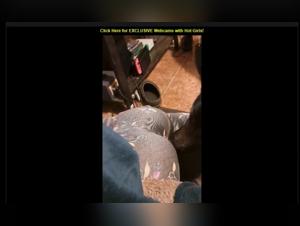 Shocking and exciting zoophilia video