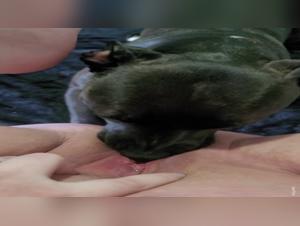 A shocking and exciting zoophilia video